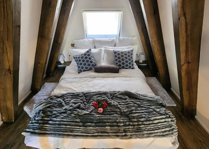 Treehaven Retreat