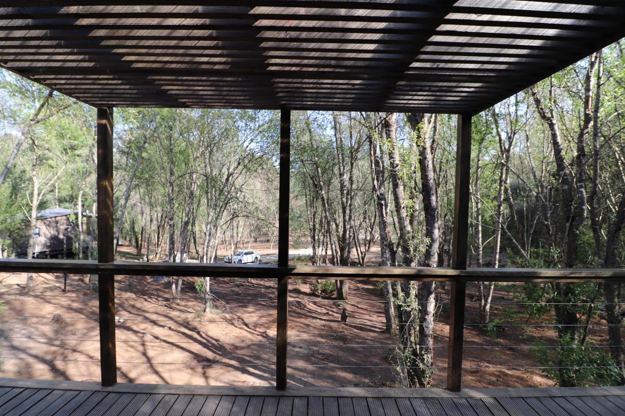 Treehaven Retreat * Hogsback