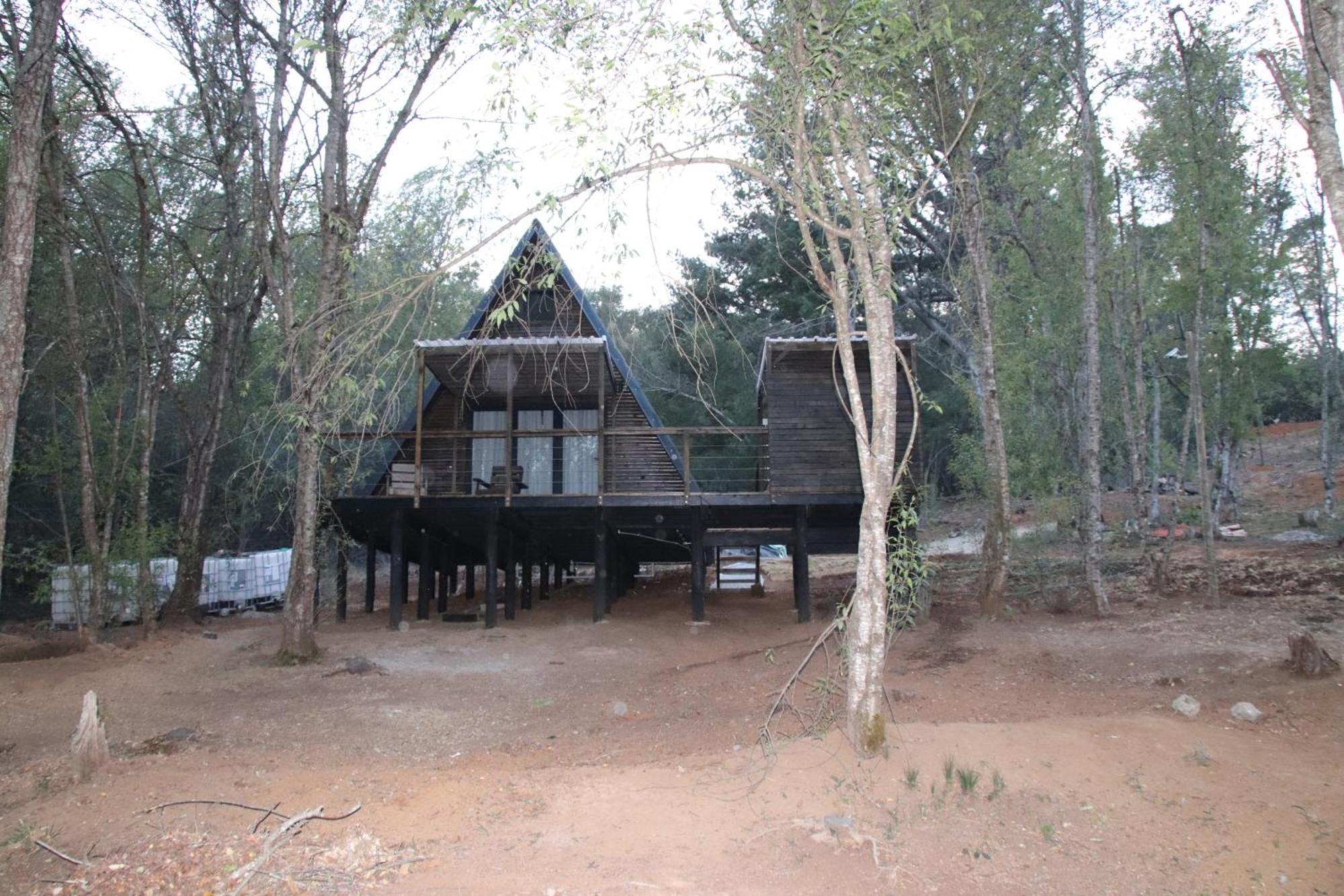 Lodge Treehaven Retreat