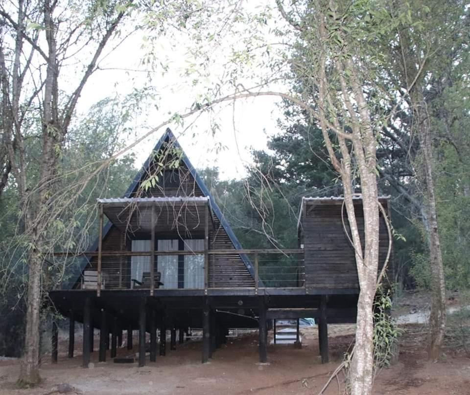 Treehaven Retreat